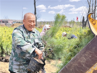 内蒙古伊金霍洛旗国有林场霍洛分场退休护林员贾道尔吉 种下万亩林 为大地披绿